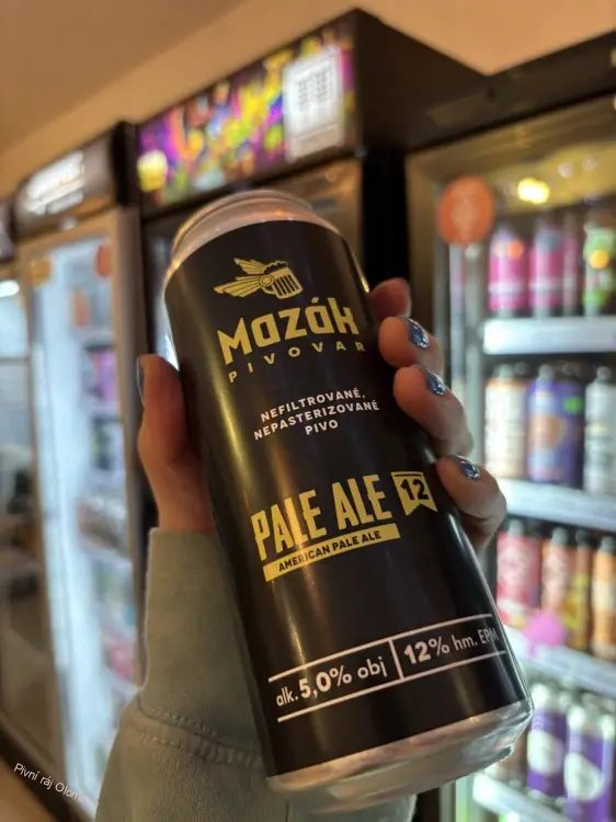 Mazák Pale Ale 500 ml