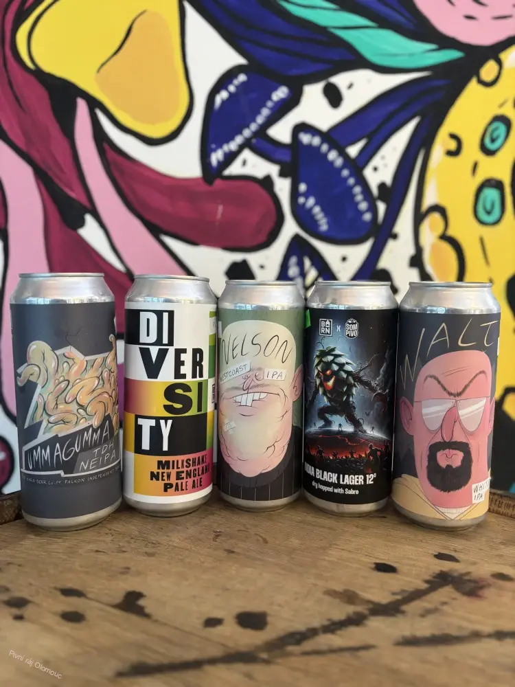 Falkon The Barn Ummagumma NEIPA 500 ml