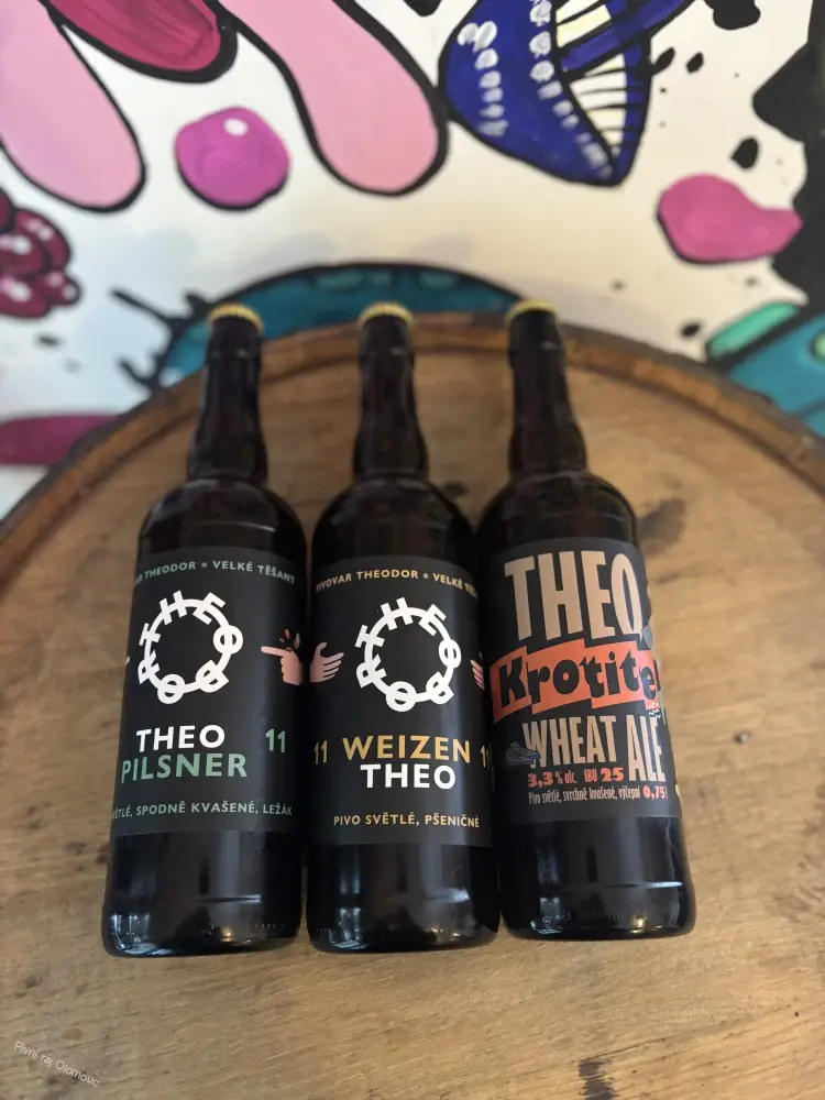 Theodor Sour beer 10 Maracuja, pomeranč,guava 500 ml
