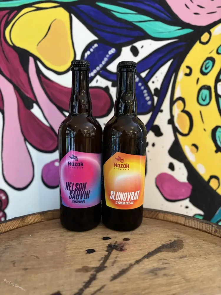 Mazák Nelson Sauvin Modern IPA 14° 750 ml (sklo)