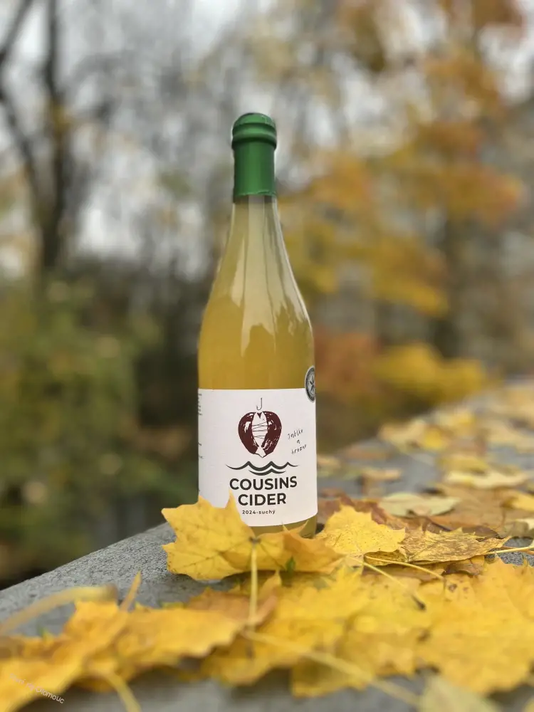 Cousins cider 2024 suchý jablko a hrozny 750 ml