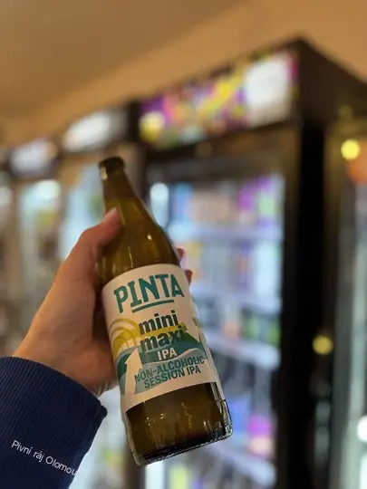Pinta Mini Maxi IPA 500 ml (sklo)