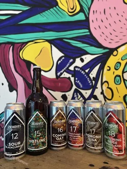 Zichovec Sour Blackcurrant 500 ml