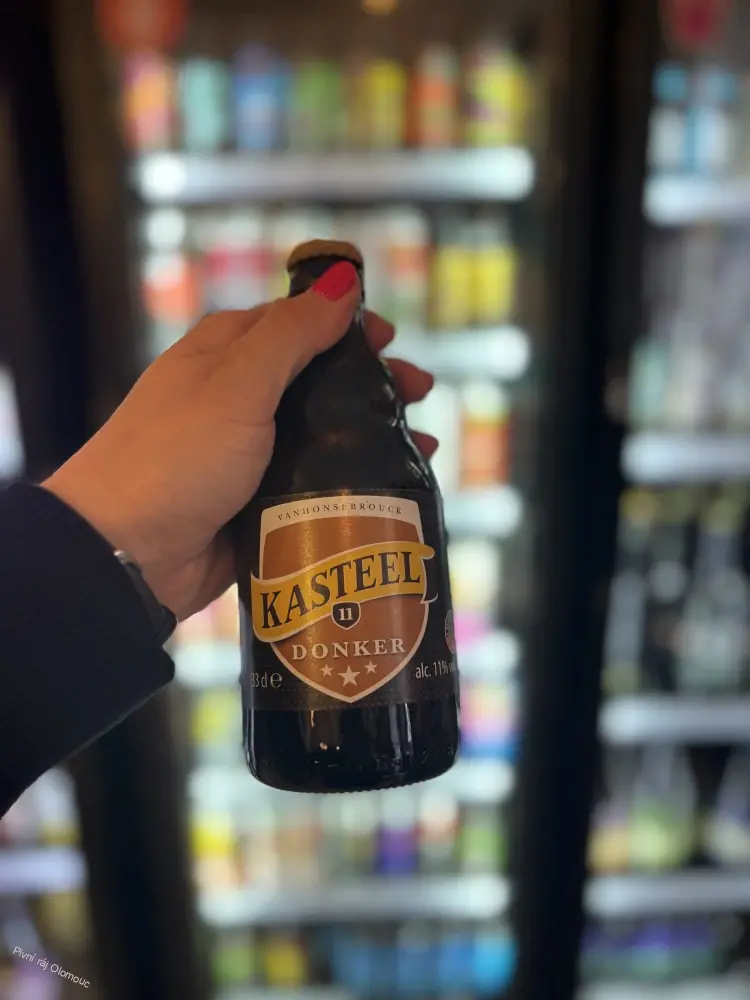 Kasteel Donker 330 ml