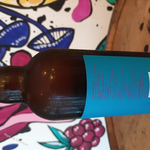 Bad Flash Bikini ale 750 ml