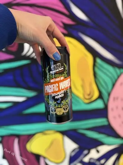 Albrechtický pivovar Pacific waves 500 ml (plech)