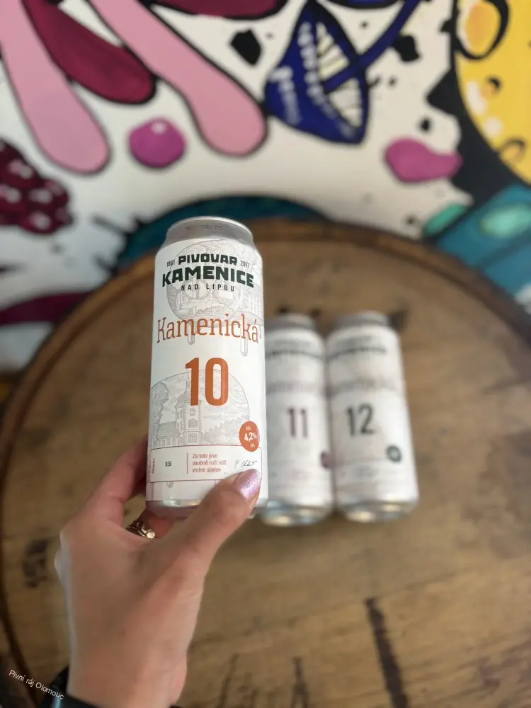 Kamenice n. Lipou Kamenická 10° 500 ml plech