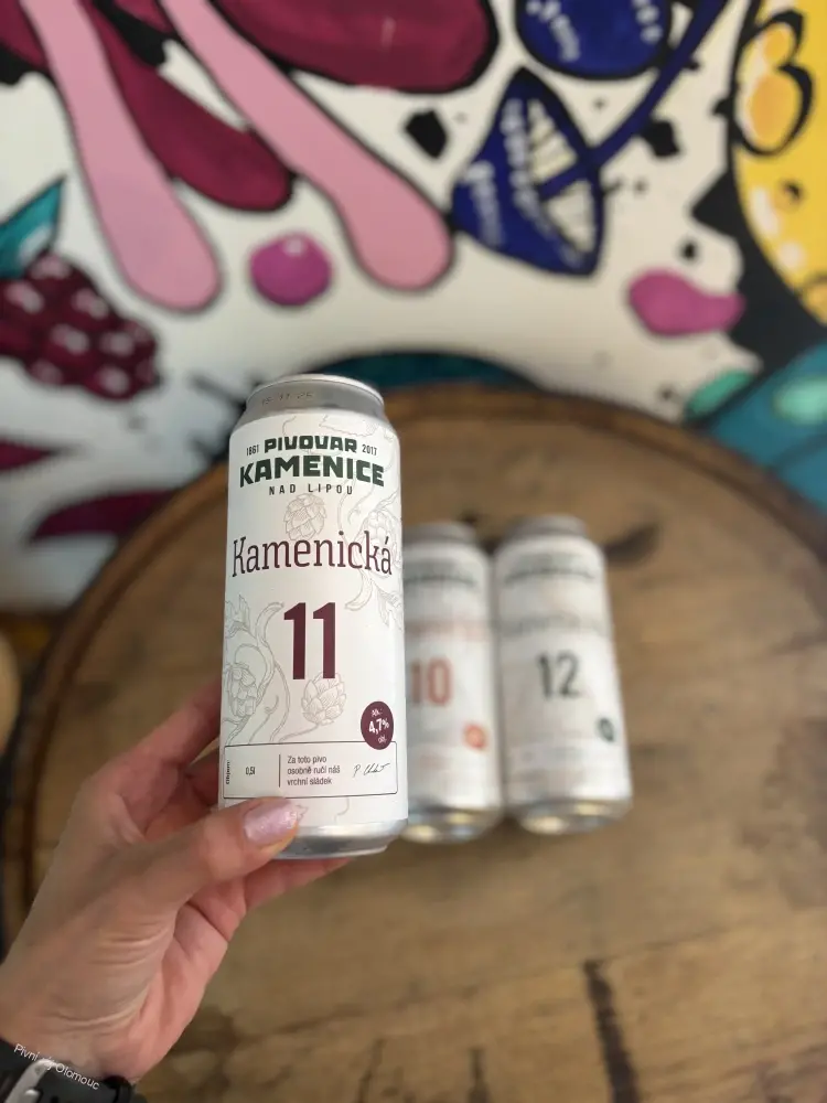 Kamenice n. Lipou Kamenická 11° 500 ml plech