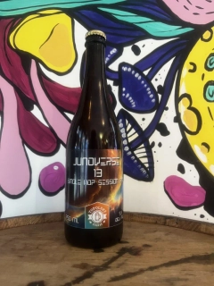 Topolský pivovar Junoverse IPA 750 ml