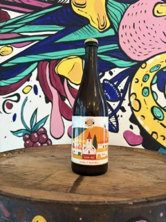 Topolský pivovar Sour ale Mango a Meruňka 750 ml