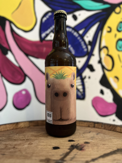 Twinberg Capybara fruta 11° 750 ml (sklo)