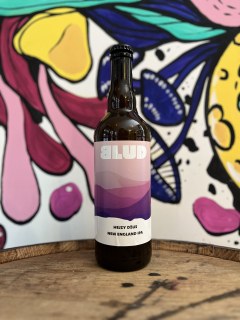 Blud Hejzy Džus 750 ml
