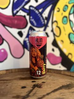 Klín Berry 12 Sour ale 500 ml