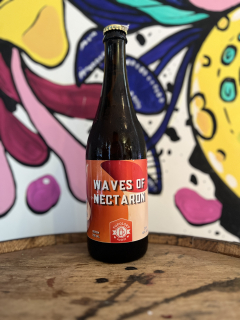 Topolský pivovar Waves of Nectaron 750ml (sklo)