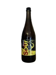 Klenot Sour ale hruška a hřebíček 700 ml
